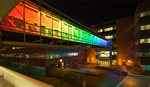 pedestrian bridge lighting